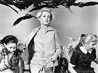 Scene from Hitchcock's film The Birds